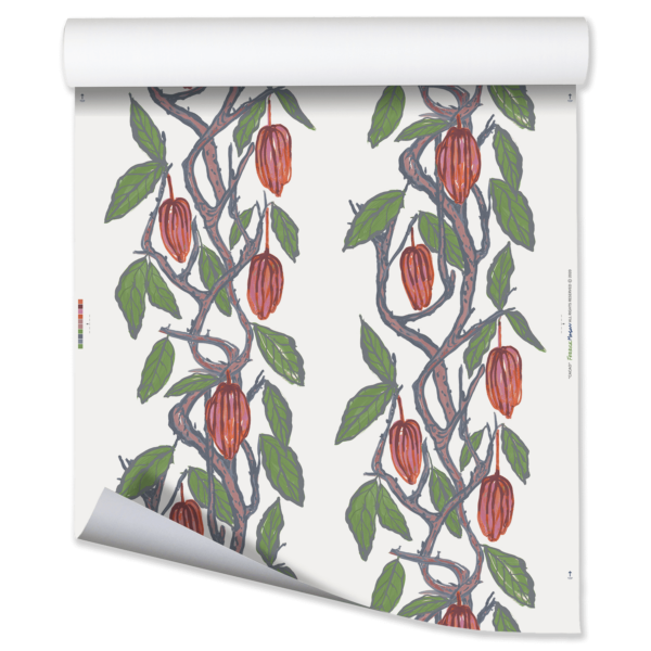 CACAO - Image 6