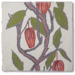Shale Rose