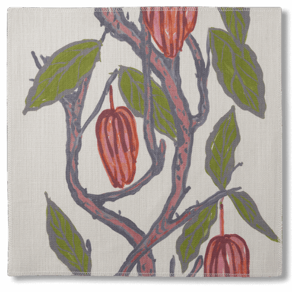 CACAO - Image 2