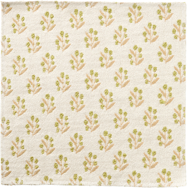 CAROLINE - Image 6