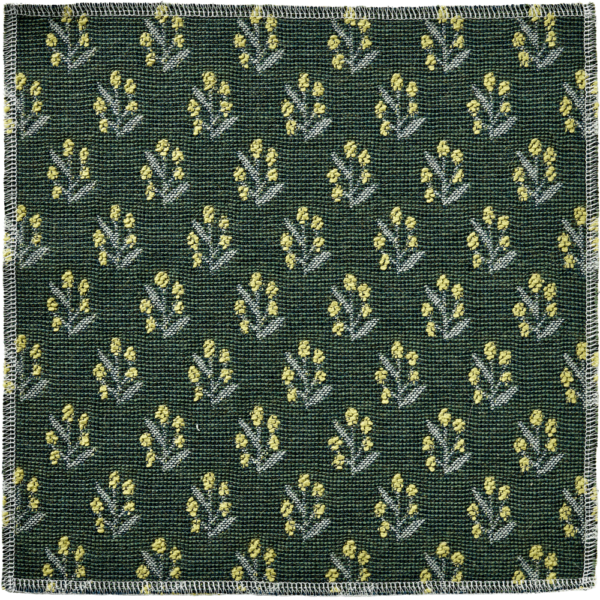 CAROLINE - Image 4