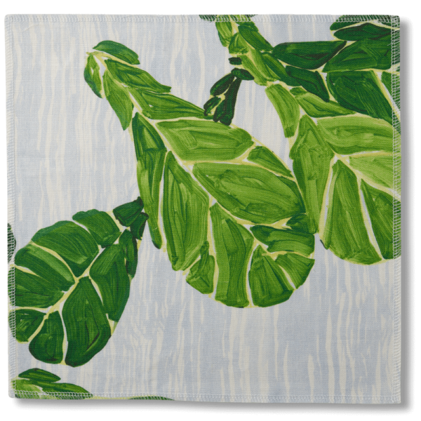 FIDDLE LEAF FIG