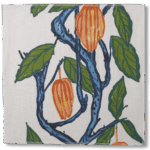 Blue Orange