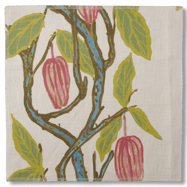 CACAO - Image 4