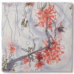 Violet Coral